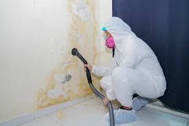 Best Mold Removal for HVAC Installations  in Lopezville, TX